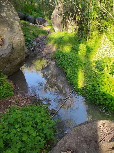 Imagen del vertido difundida por AV/TA.